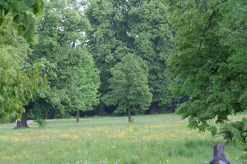 a 571
